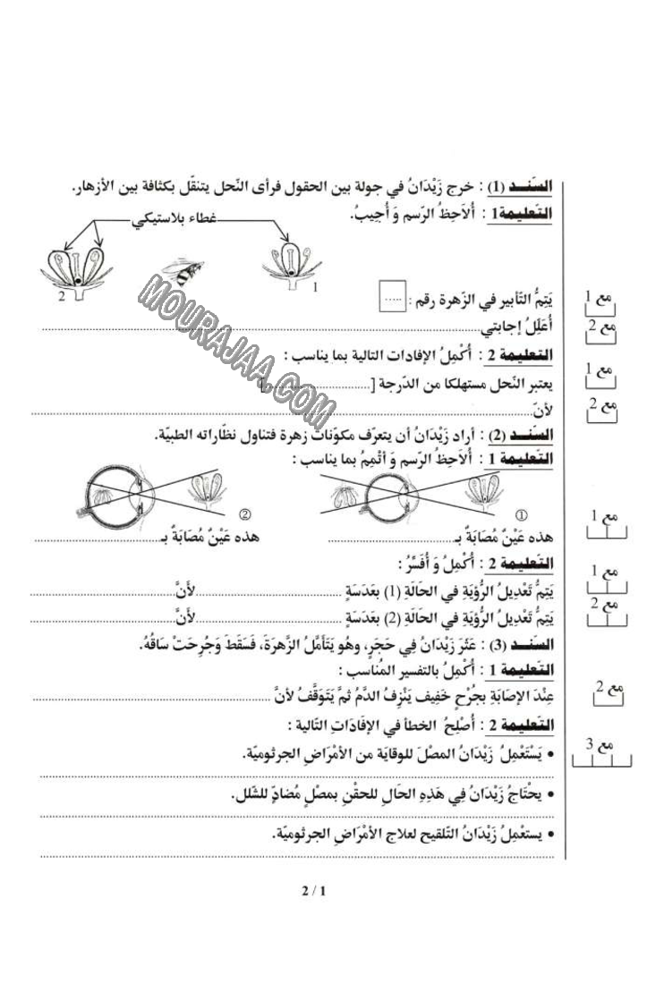 ايقاظ علمي 2013